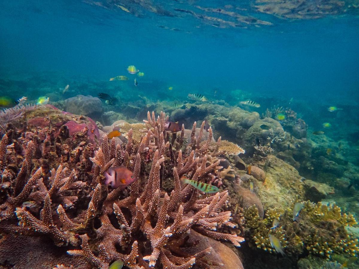Raja Ampat Eco Lodge Tapokreng Eksteriør billede