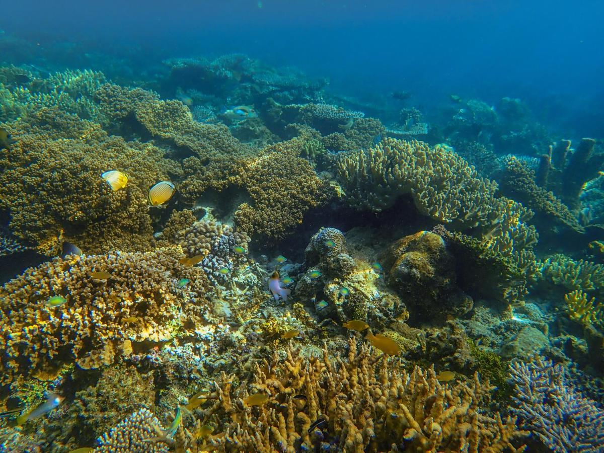 Raja Ampat Eco Lodge Tapokreng Eksteriør billede